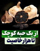 سیرسیاه ژاپنی تخمیری مناسب بیماری جنسی اقایان زودانزالی و عدم نعوظ دارای پنج تاییده بهداشتی اصل و اورجینال