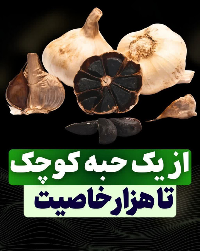 سیرسیاه ژاپنی تخمیری مناسب بیماری جنسی اقایان زودانزالی و عدم نعوظ دارای پنج تاییده بهداشتی اصل و اورجینال