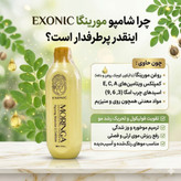 شامپو موی سر حاوی روغن مورینگا مناسب موهای شکننده و زبر و اسیب دیده برند ،exonic با حجم ۳۰۰ میل اصل و اورجینال